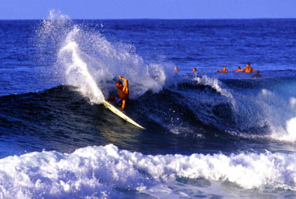Surfer