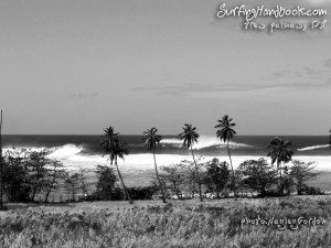 Black And White Version