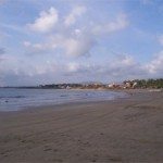 Surf Travel Report – Saladita, Mexico