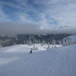 Snow Travel Report 2010