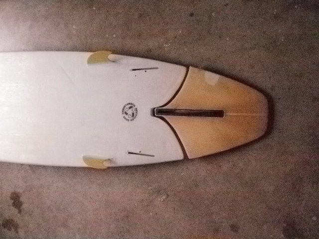 tail cutout