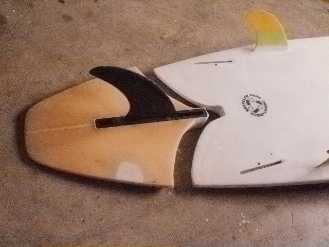 tail cutout 2