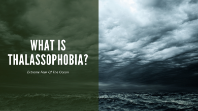 what is thalassophobia