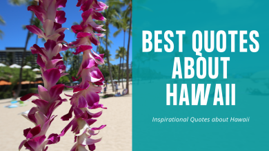 Picture of a flower lei with the words Best Quotes About Hawaii