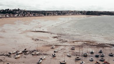 white and black boats on seashore at daytime